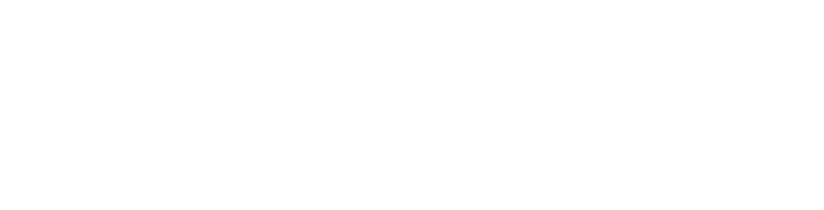 Scenic Solutions