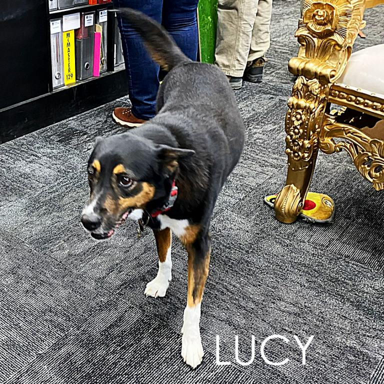 Lucy