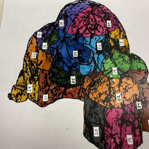 WCHS-skull-Drawing-how-the-pices-fit WCHS-skull-Drawing-how-the-pices-fit