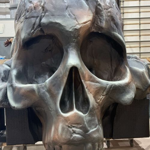 WCHS-skull-face-details WCHS-skull-face-details