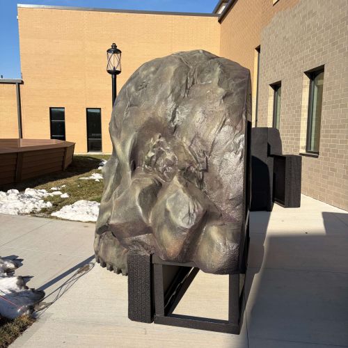 WCHS-skull-piece-side WCHS-skull-piece-side