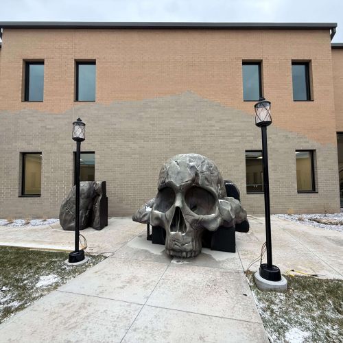 WCHS-skull-pieces WCHS-skull-pieces