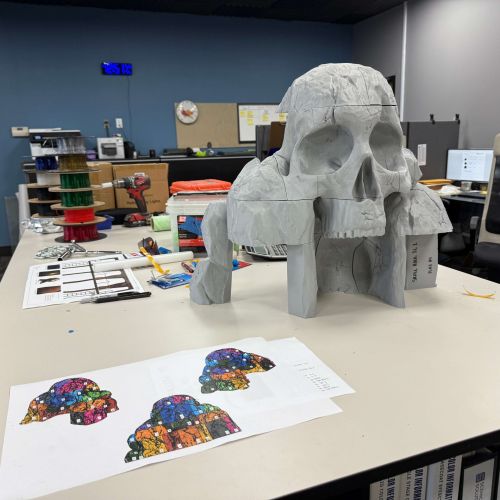WCHS-skull-plastic-model-front WCHS-skull-plastic-model-front